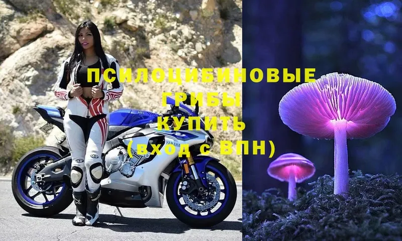 Псилоцибиновые грибы Magic Shrooms  мориарти состав  Алатырь 